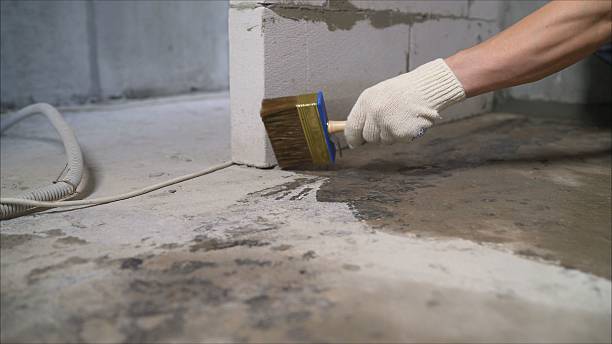 SJ Waterproofing Pros Waterproofing coverage map for Sheridan, MI and surrounding area